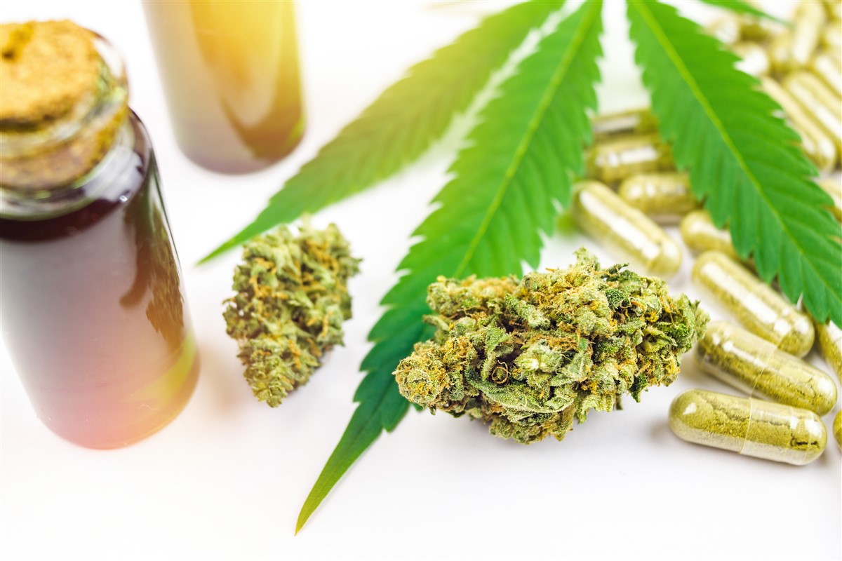 secrets de la fleur de CBD Gorilla Glue