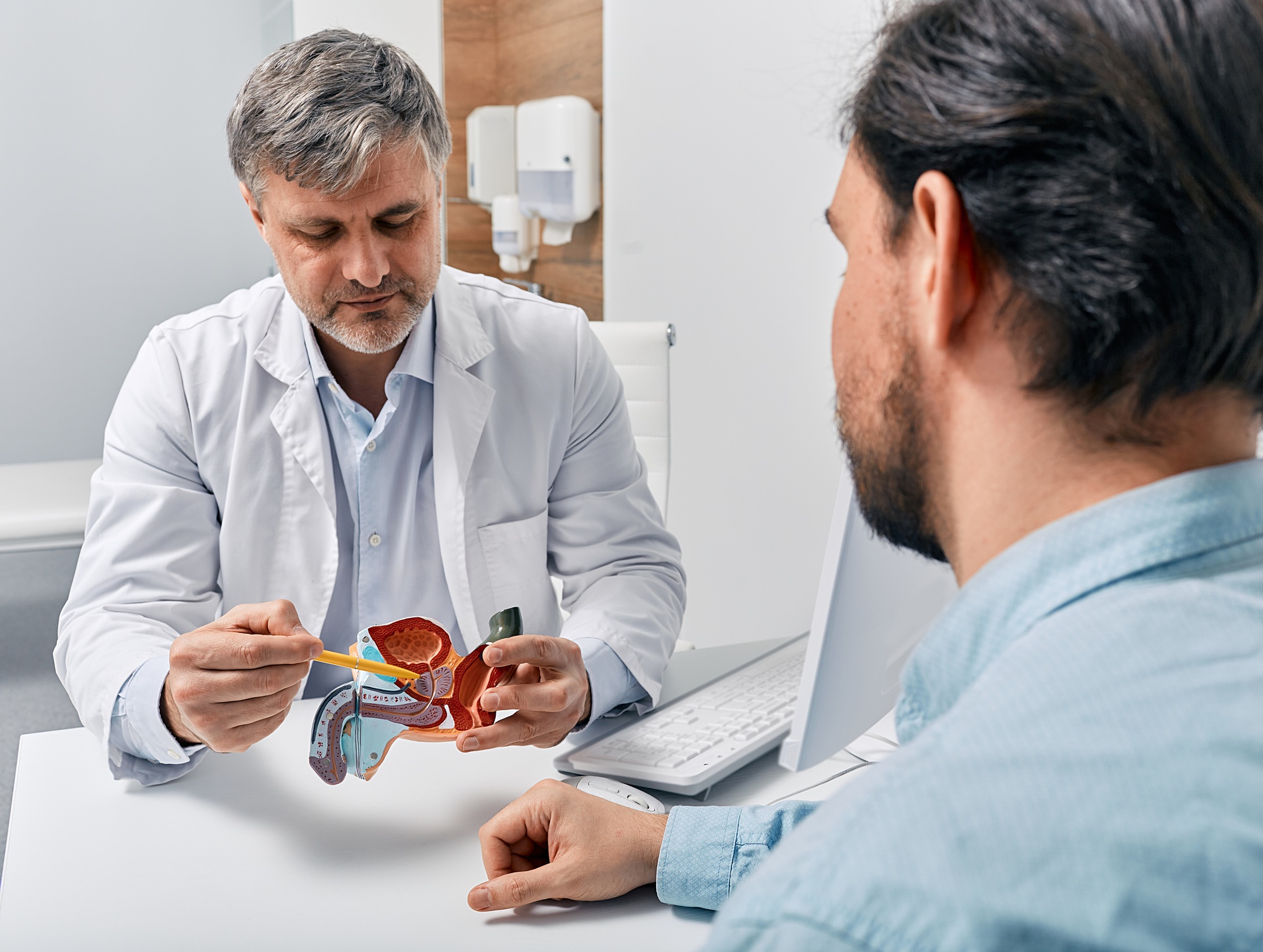 prostate