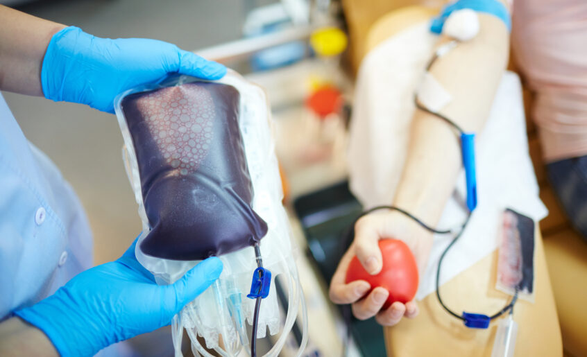 sang dans le corps humain