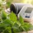 découvrez comment l'ortie peut aider à gérer l'hypertension et transformer votre approche de la santé grâce à des solutions naturelles et efficaces.