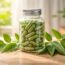 découvrez les gélules neems, votre allié naturel incontournable pour une santé digestive optimale et un bien-être quotidien.